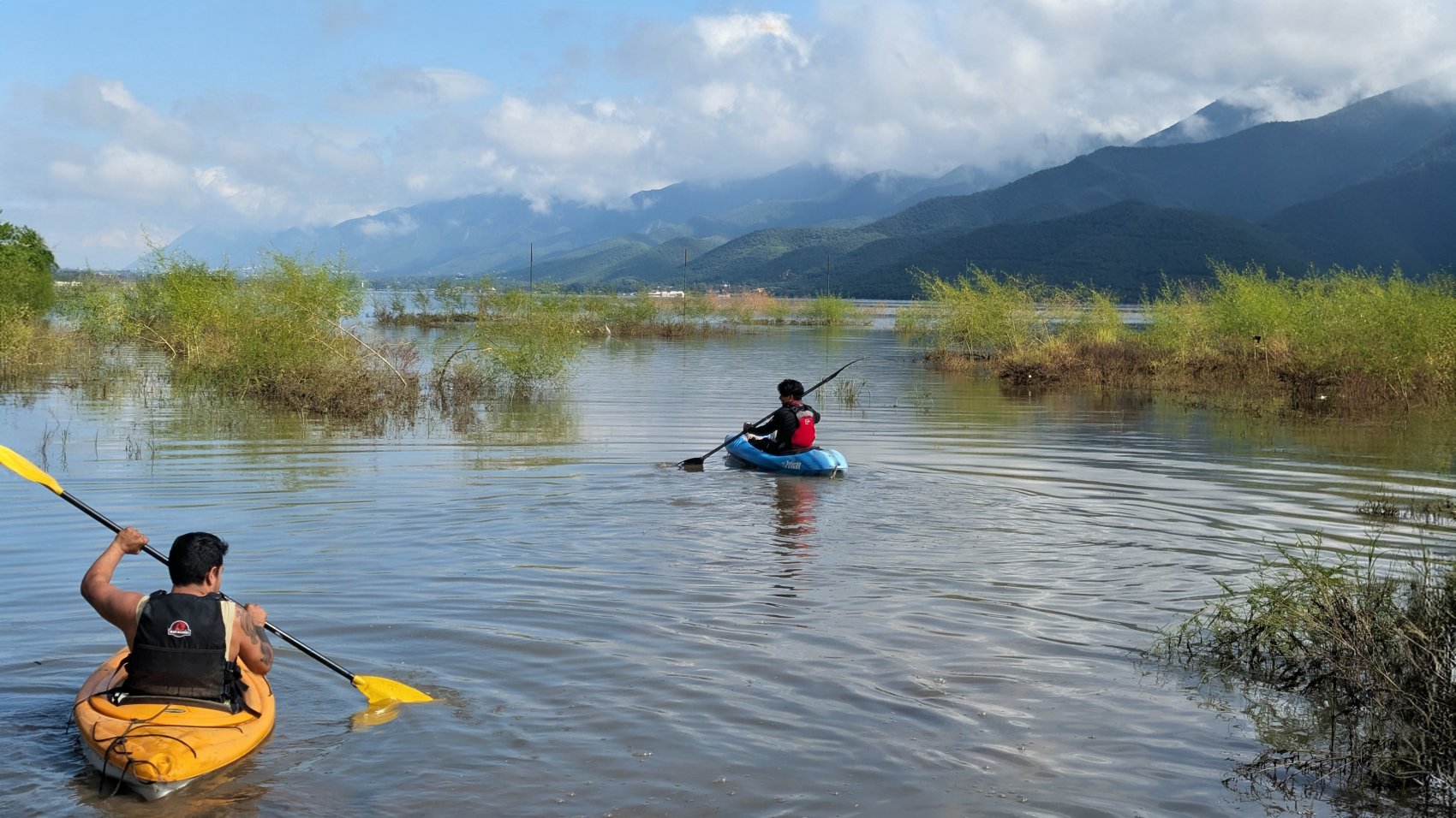 Kayak tour