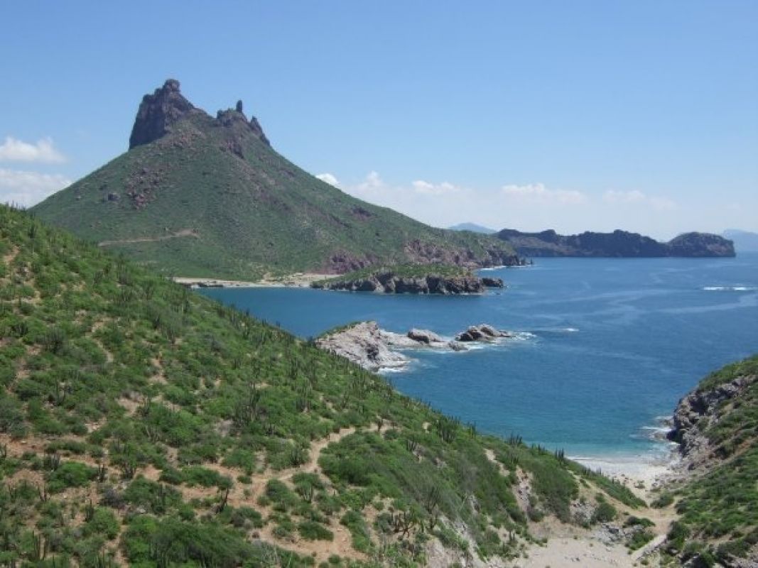Buceo en el Mar de Cortés