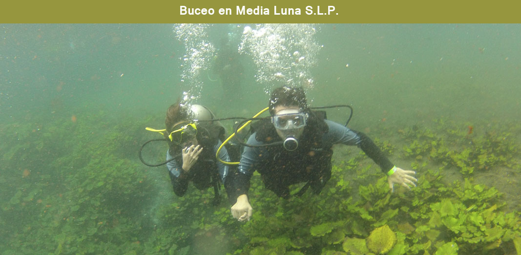 Buceo en Media Luna