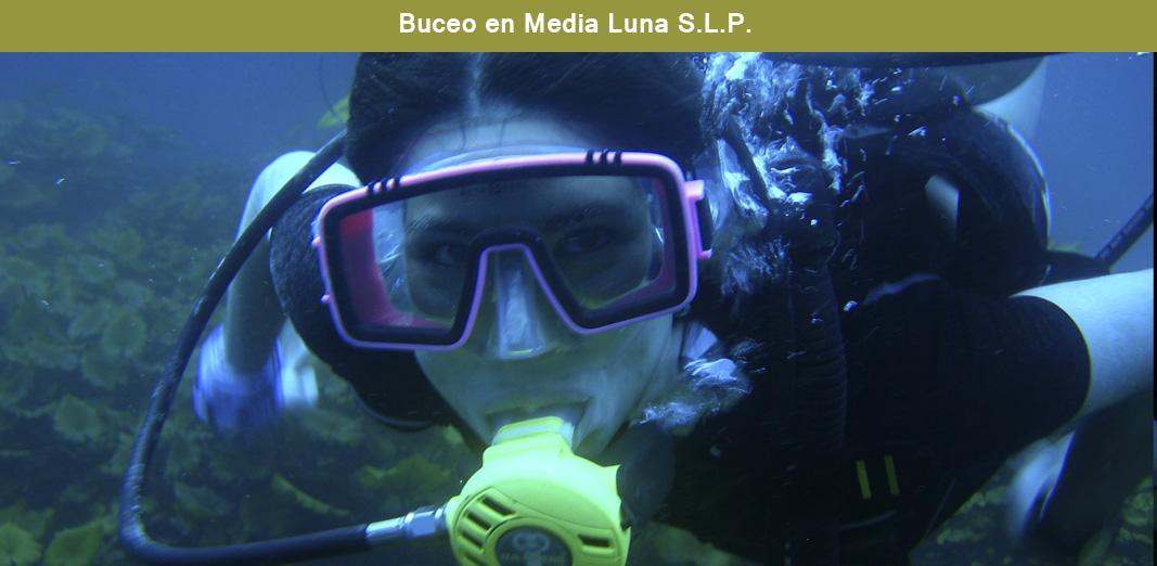 Buceo en Media Luna