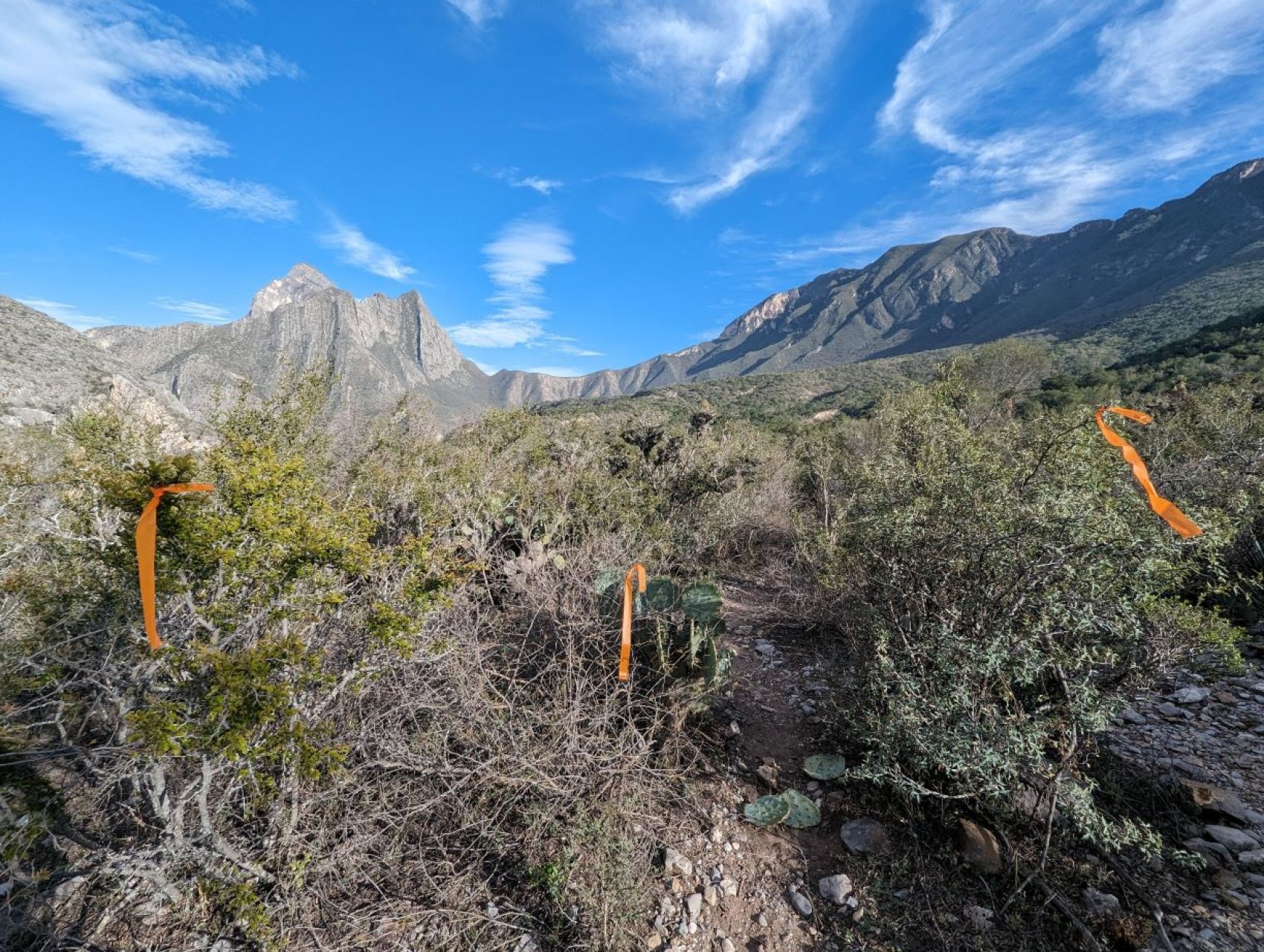 Peyote Trail 26K