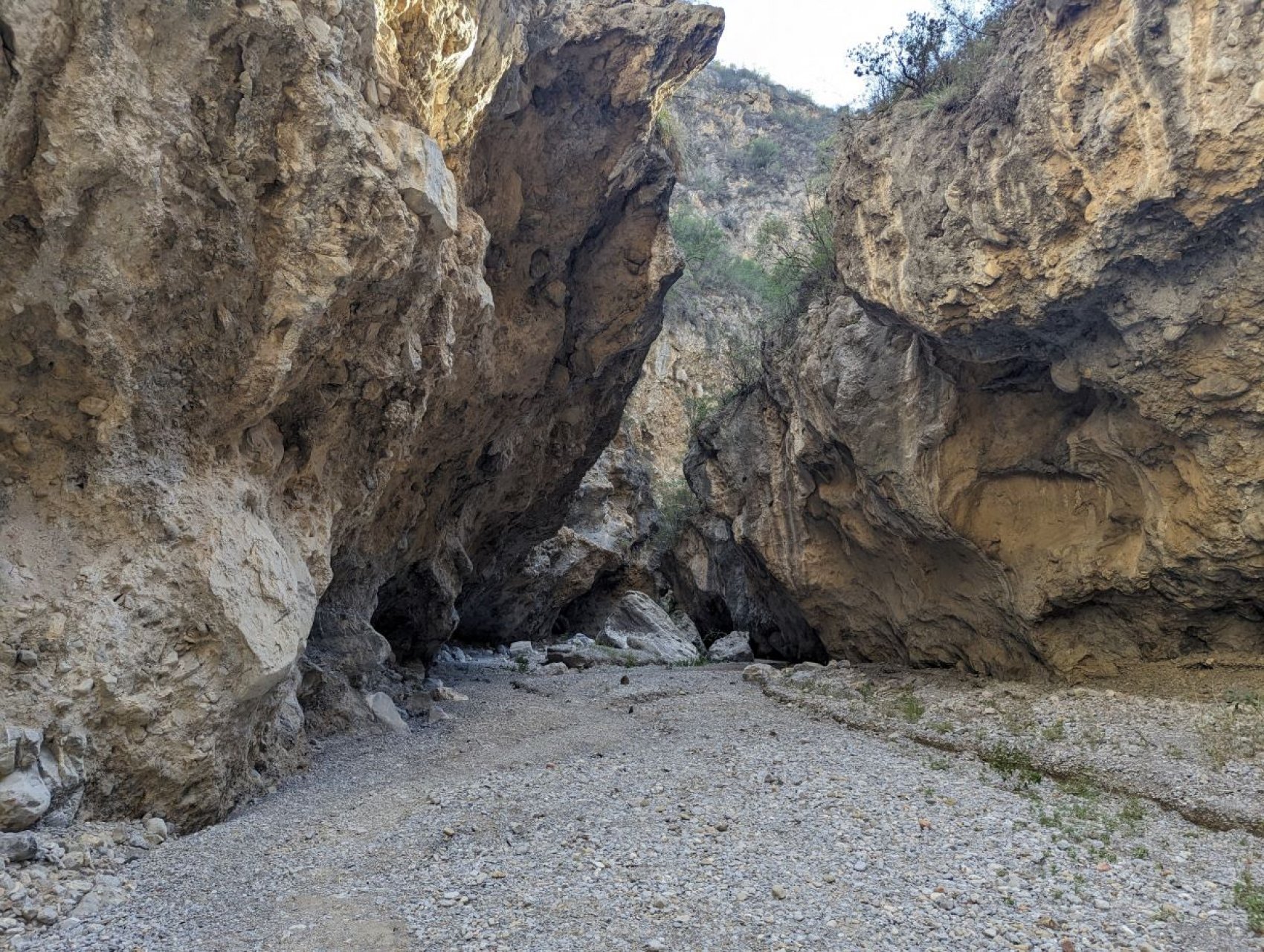 Peyote Trail 26K