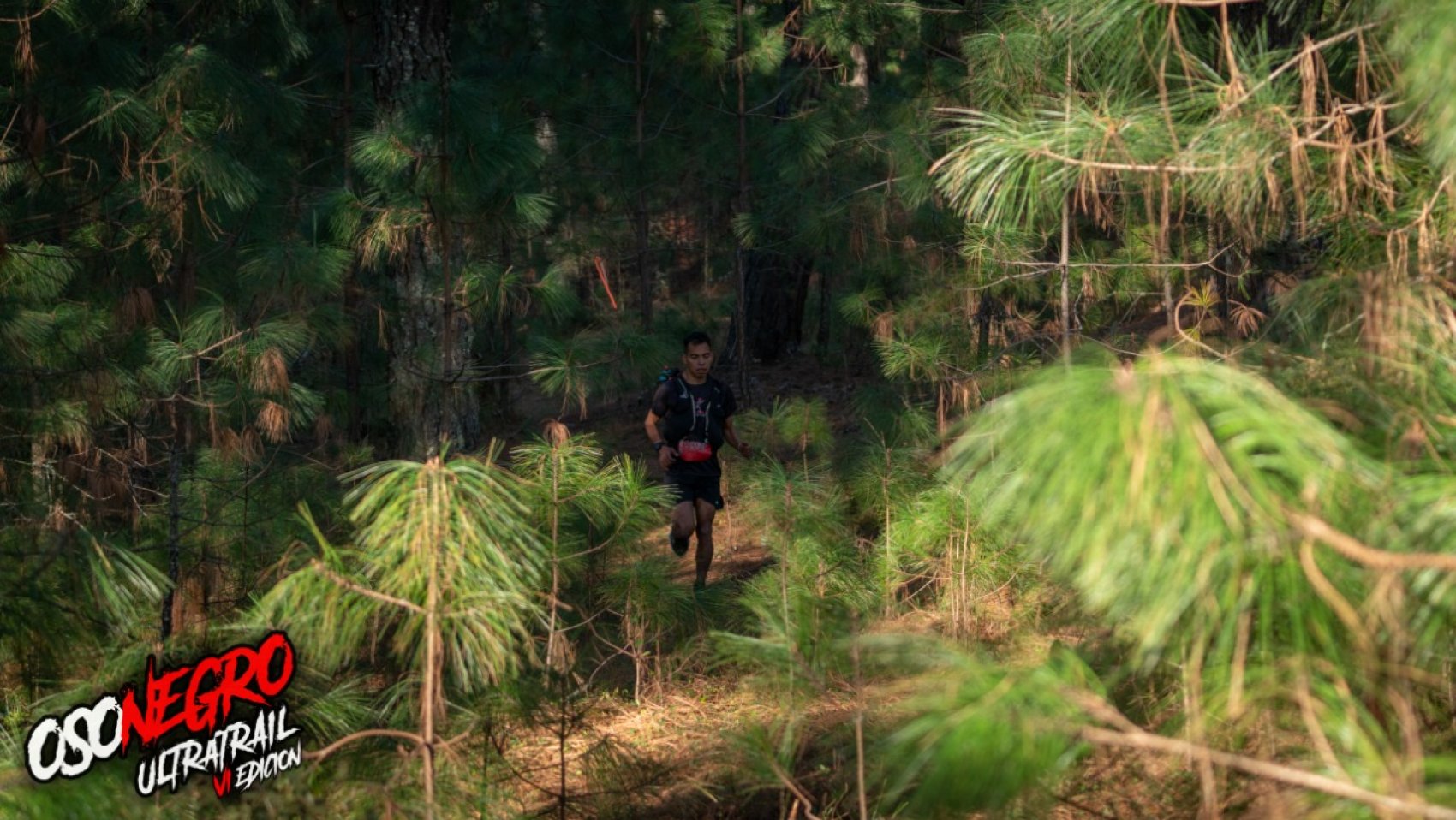 Ultra Trail Oso Negro® 75K